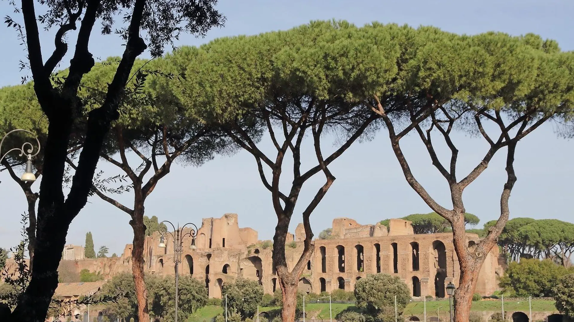 רומא Ych-Exclusive Apartment On Circus Maximus